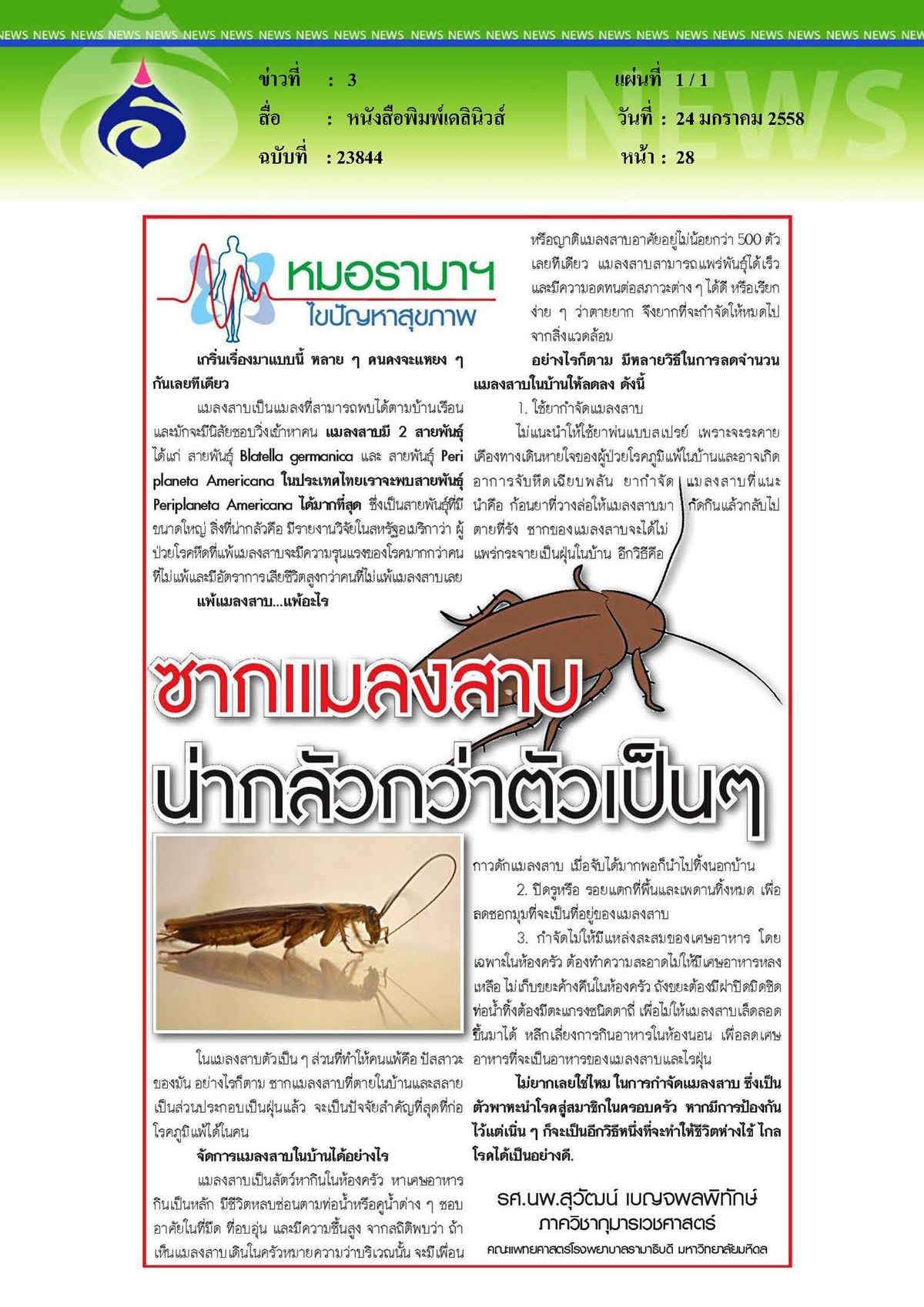 เดลินิวส์ : ซากแมลงสาบ...น่ากลัวกว่าตัวเป็นๆ