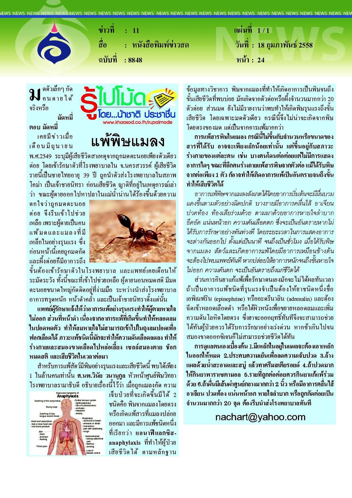 ข่าวสด : แพ้พิษแมลง