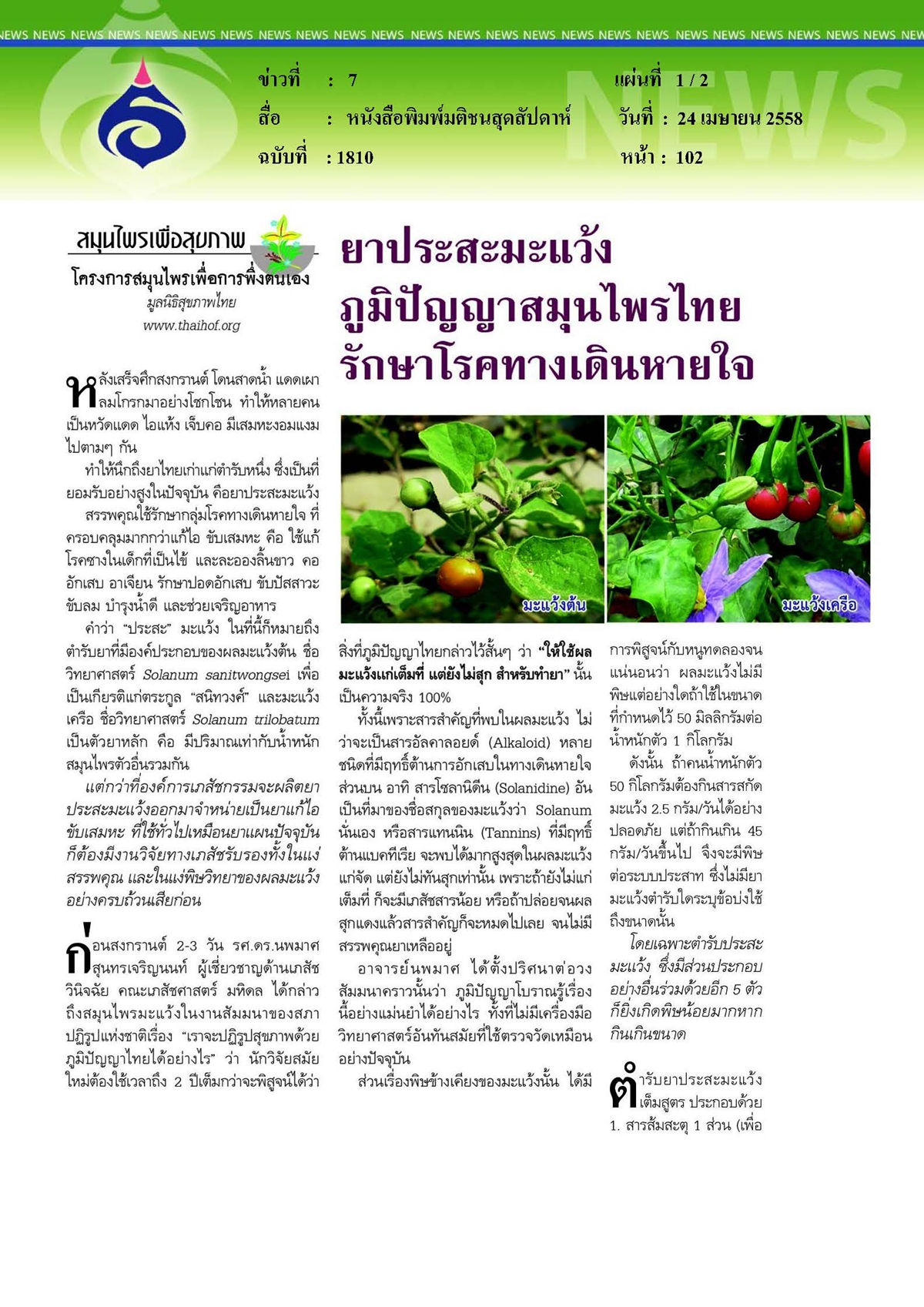 มติชนสุดสัปดาห์ : ยาประสะมะแว้งภูมิปัญญาสมุนไพรไทยรักษาโรคทางเดินหายใจ