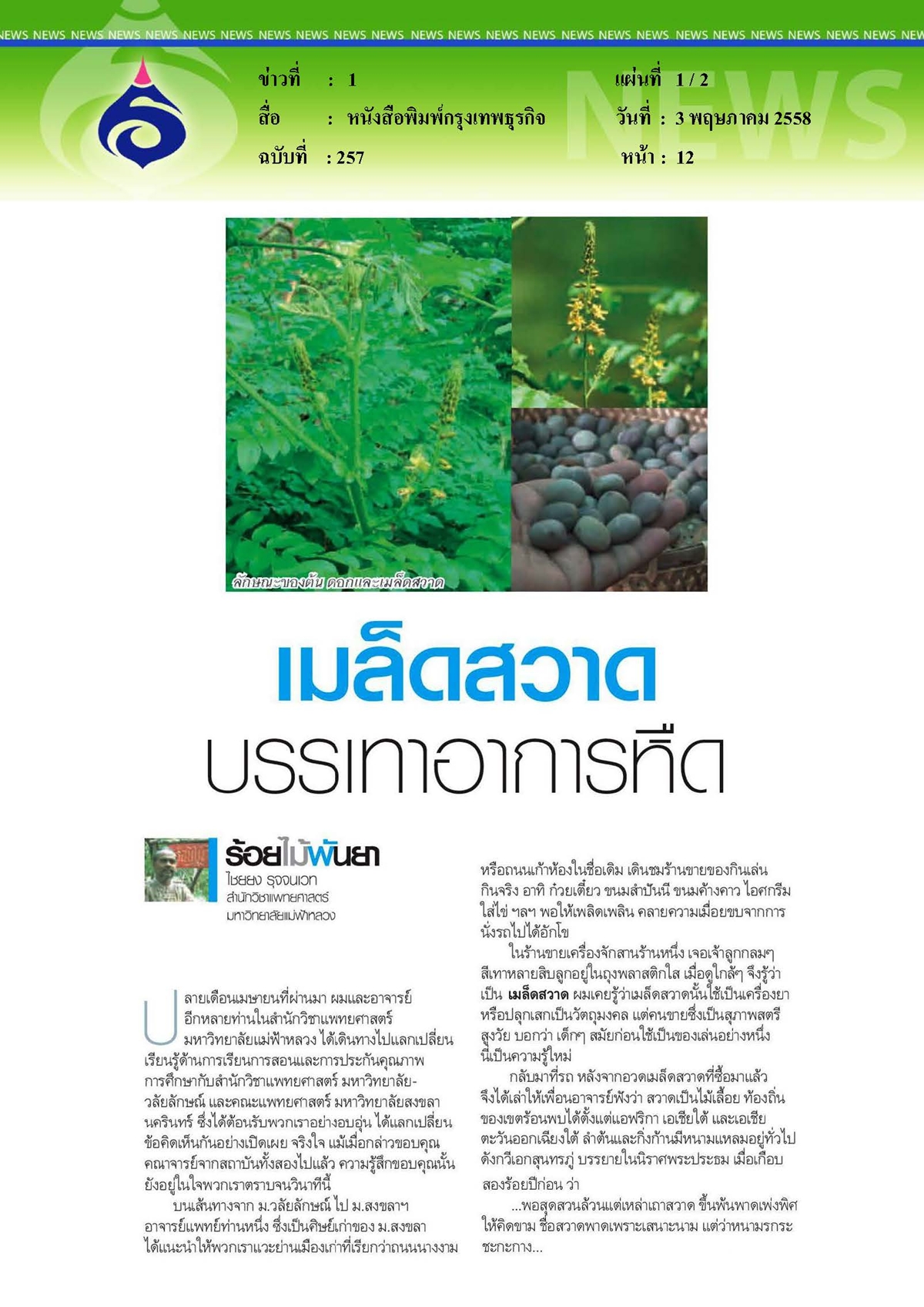 กรุงเทพธุรกิจ : เมล็ดสวาดบรรเทาอาการหืด