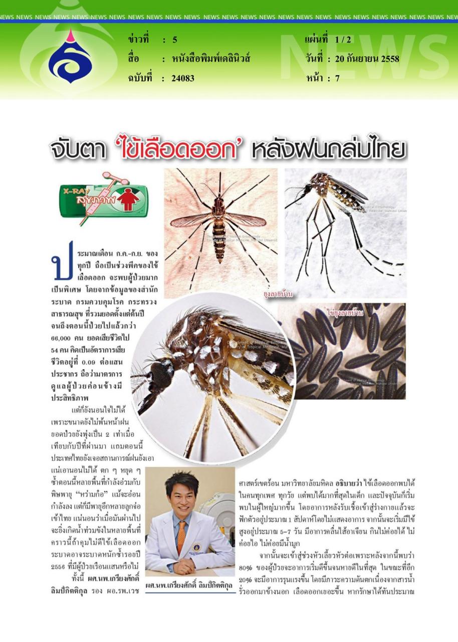 หนังสือพิมพ์เดลินิวส์ จับตา 'ไข้เลือดออก' หลังฝนถล่มไทย