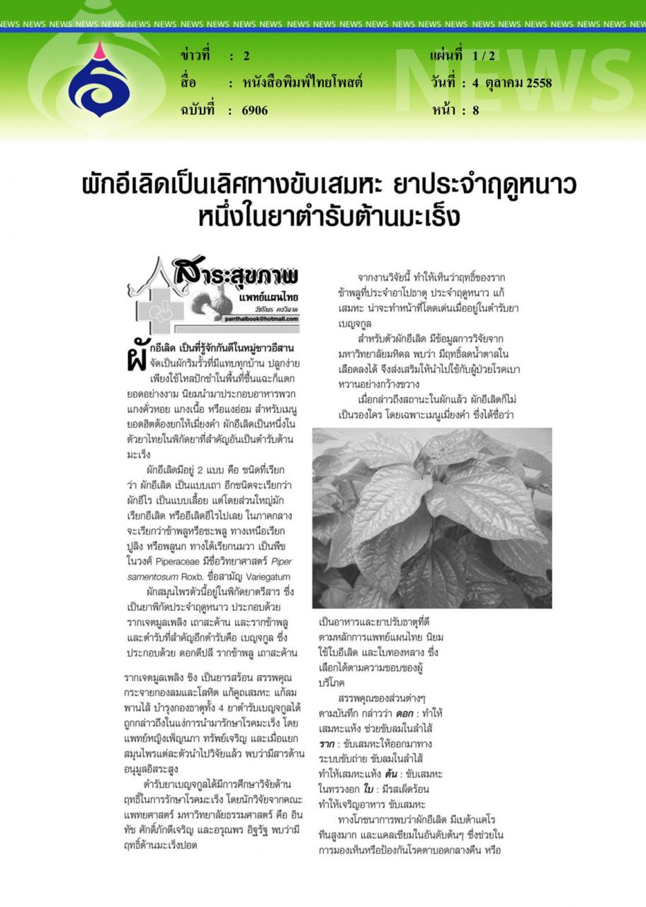 หนังสือพิมพ์ไทยโพสต์ ผักอีเลิดเป็นเลิศทางขับเสมหะและยาประจำฤดูหนาว