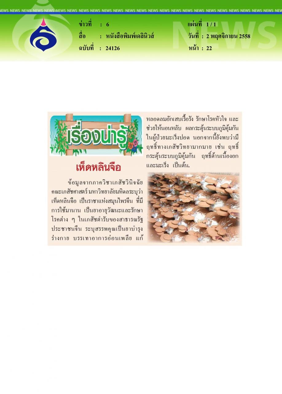 หนังสือพิมพ์เดลินิวส์ เห็ดหลินจือ