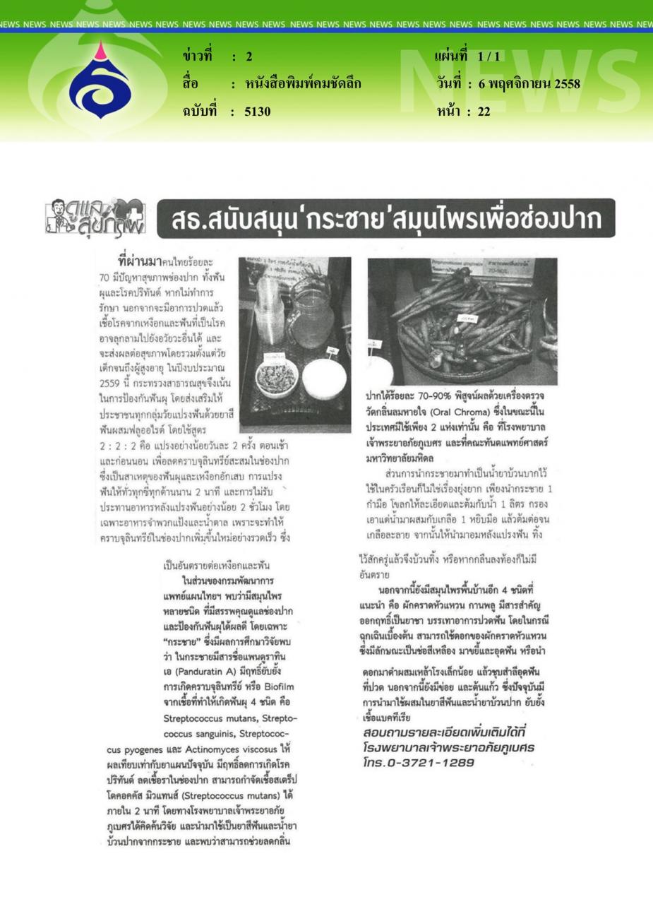 หนังสือพิมพ์คมชัดลึก สธ.สนับสนุน 'กระชาย' สมุนไพรเพื่อช่องปาก