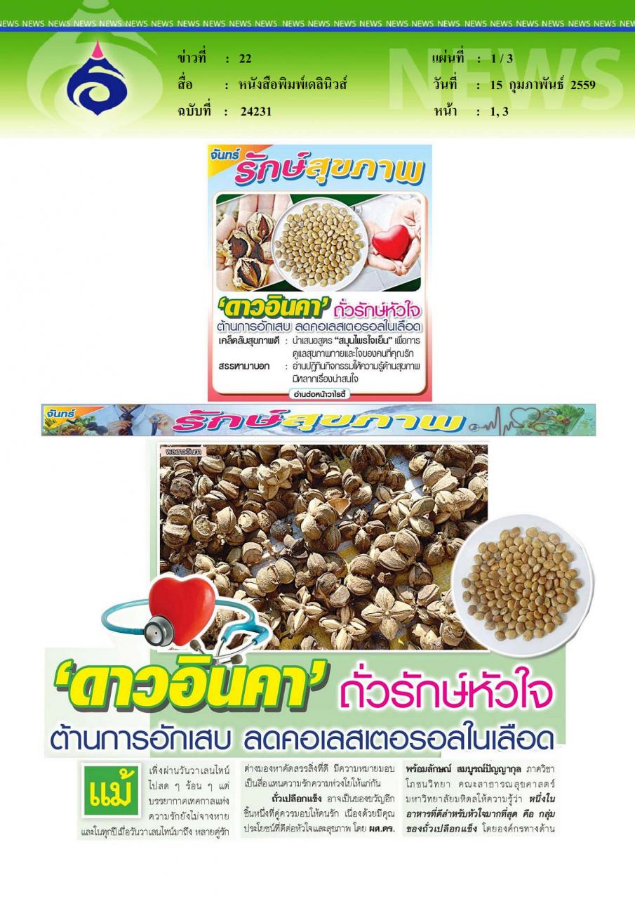 หนังสือพิมพ์เดลินิวส์ ดาวอินคา ถั่วรักษ์หัวใจ