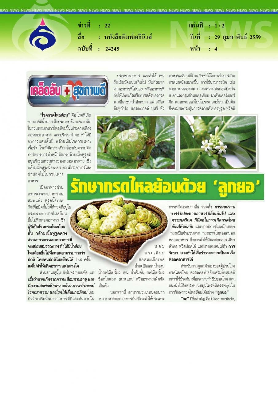 หนังสือพิมพ์เดลินิวส์ รักษากรดไหลย้อนด้วยลูกยอ