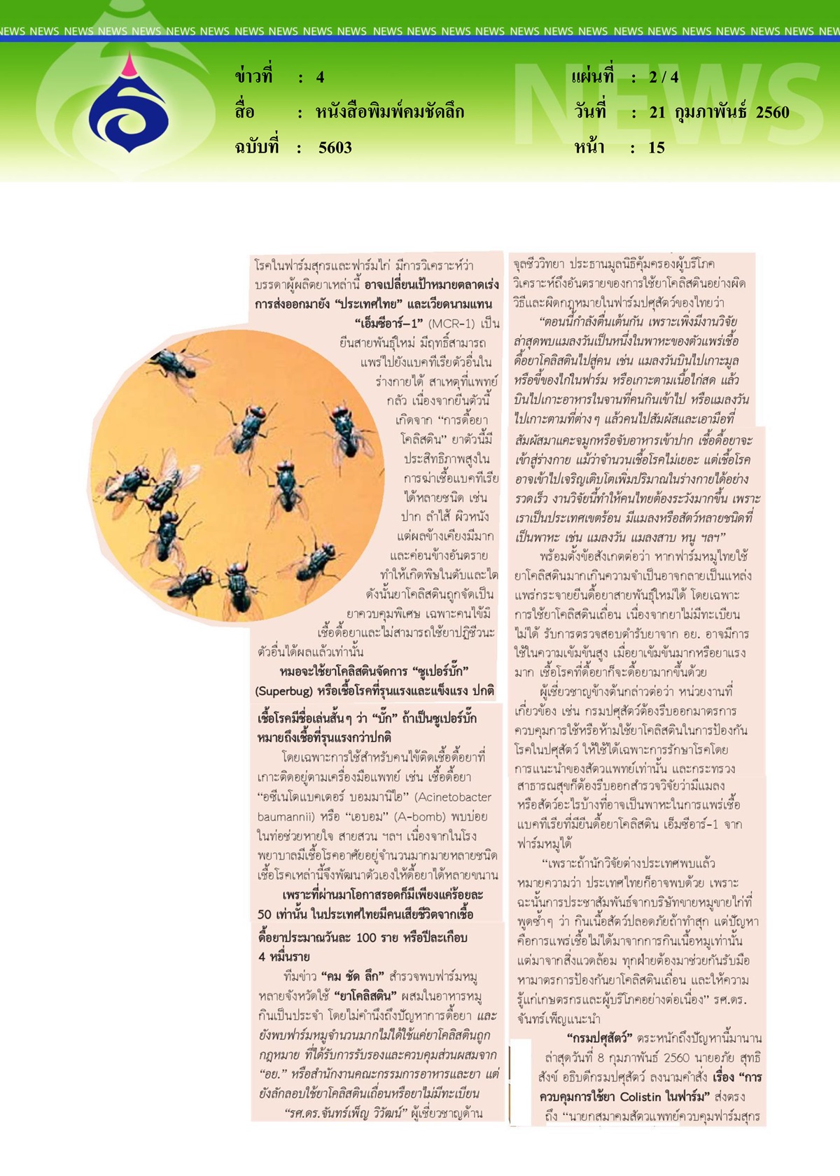 หนังสือพิมพ์คมชัดลึก, แมลงวันตัวแพร่... ยีนดื้อยาอันตราย