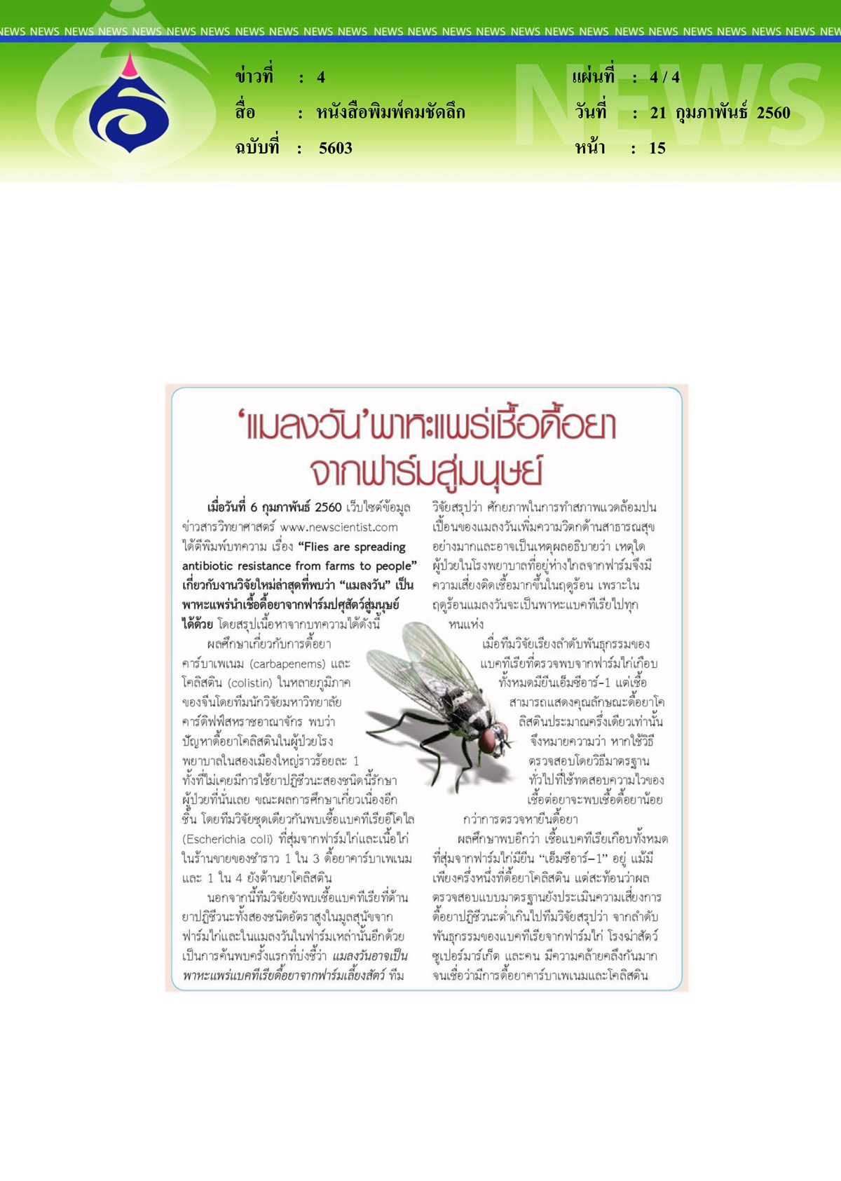 หนังสือพิมพ์คมชัดลึก, แมลงวันตัวแพร่... ยีนดื้อยาอันตราย