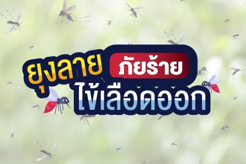 ยุงลาย ภัยร้ายไข้เลือดออก