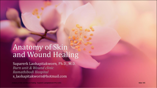 Anatomy of Skin and Wound Healing