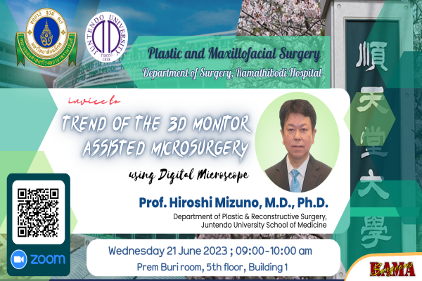 Trend of the 3D Monitor-Assisted Microsurgery