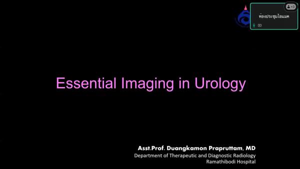Essential Imaging in Urology
