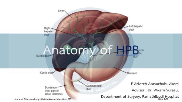 Liver and Biliary anatomy