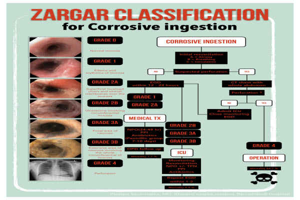 ZARGAR CLASSIFICATION