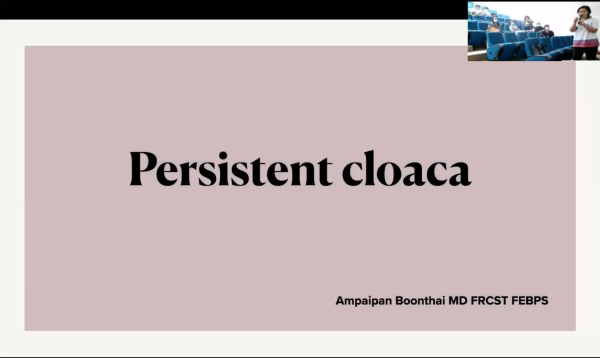 Persistent Cloca