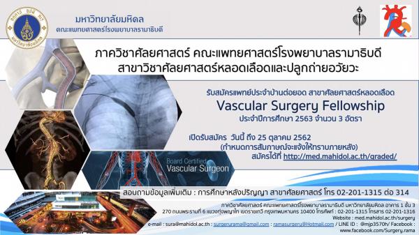 Vascular Surgery Fellowship