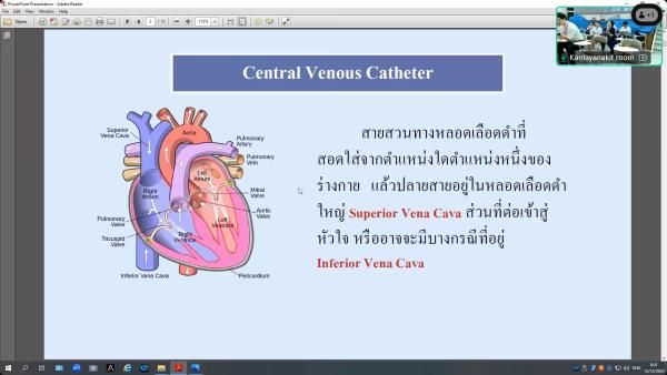 Long term venous catheter care