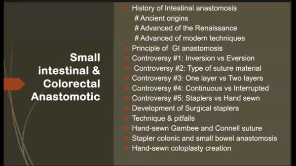 Small intestinal & Colorectal Anastomotic